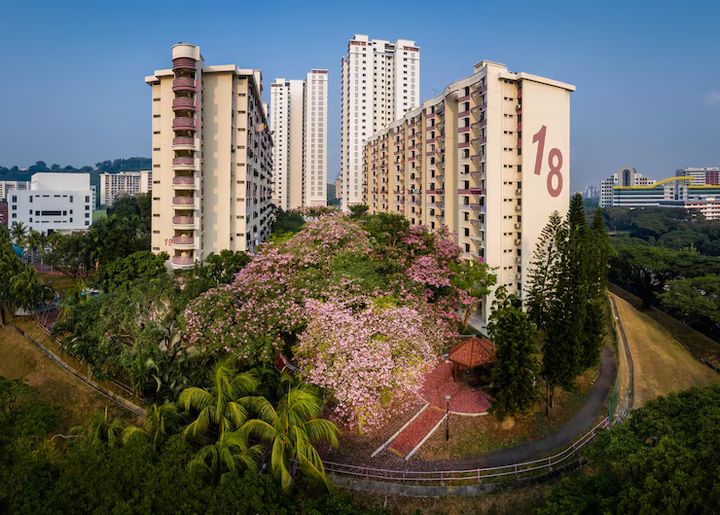 Renting Apartments in Egypt: A Complete Guide for Locals and Expats 