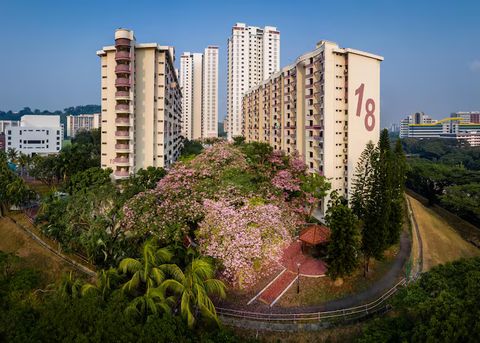 Renting Apartments in Egypt: A Complete Guide for Locals and Expats 